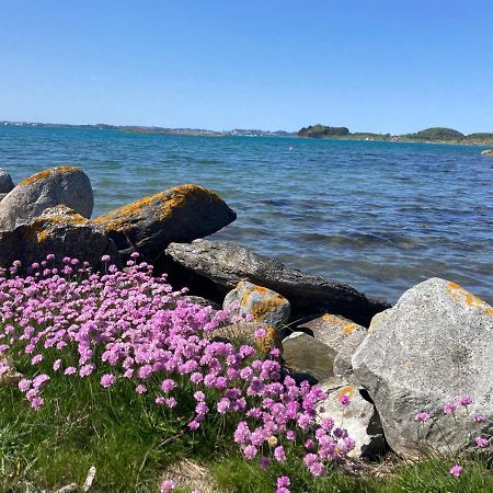 Shared Farmhouse Stavanger Dış mekan fotoğraf