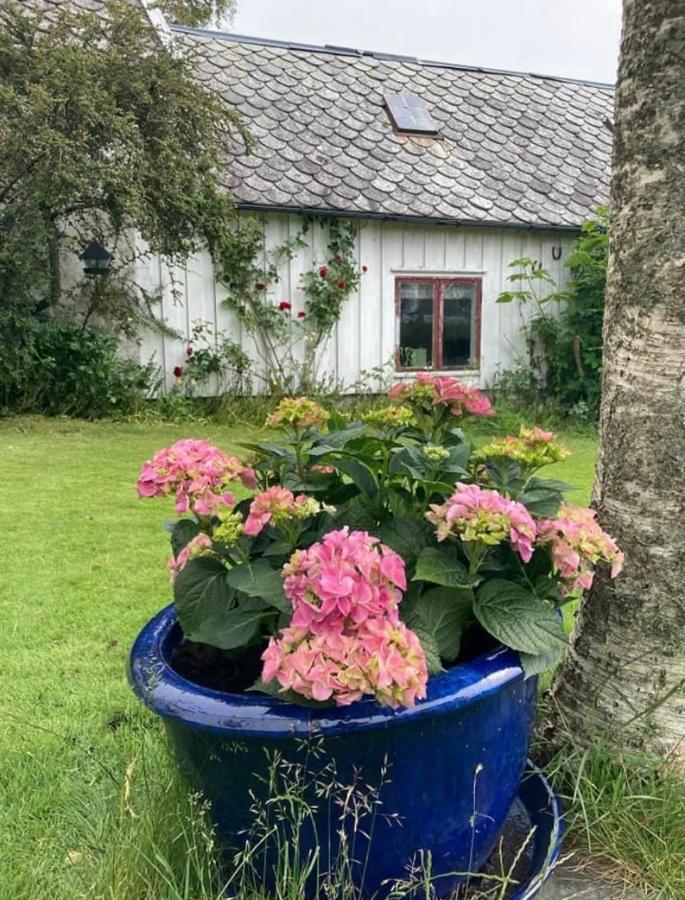 Shared Farmhouse Stavanger Dış mekan fotoğraf