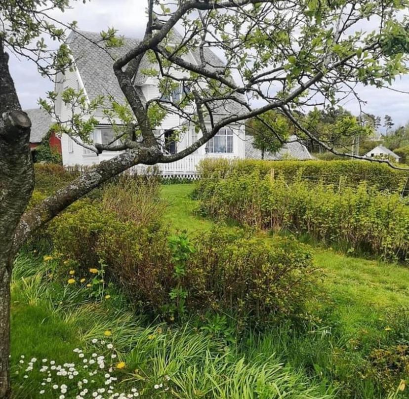 Shared Farmhouse Stavanger Dış mekan fotoğraf