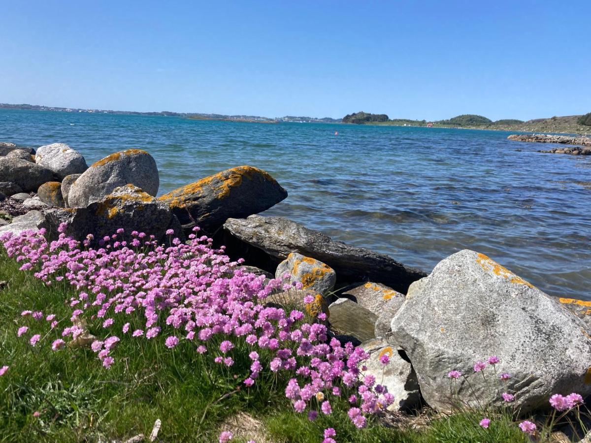 Shared Farmhouse Stavanger Dış mekan fotoğraf